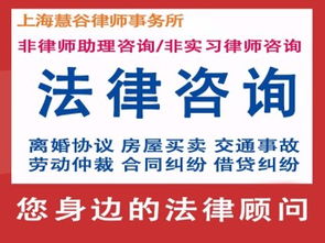 图 律师会见办理取保代理减刑缓刑辩护 上海法律咨询